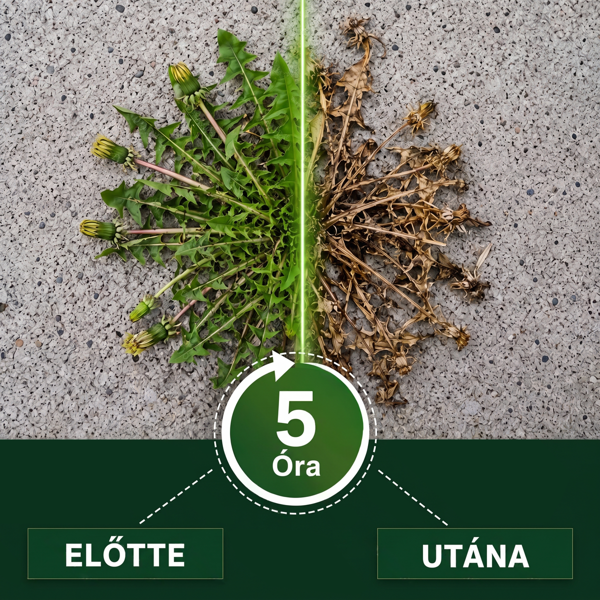 🎁🎁🎁Yanse®  Már csak 10 doboz maradt! Most további 50% kedvezmény!