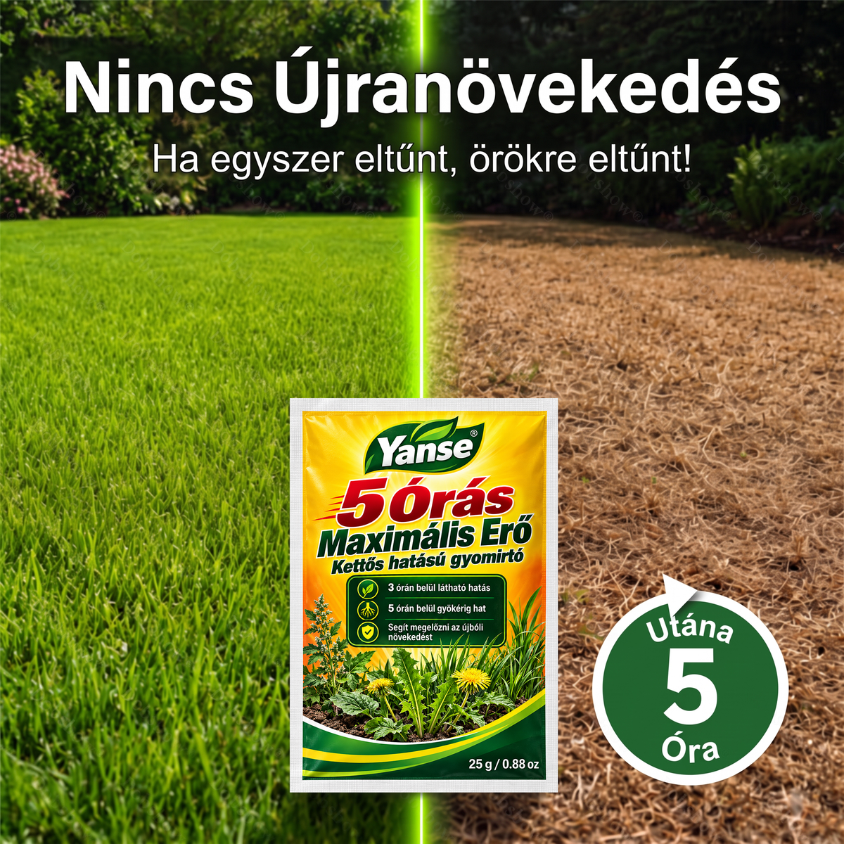 🎁🎁🎁Yanse®  Már csak 10 doboz maradt! Most további 50% kedvezmény!